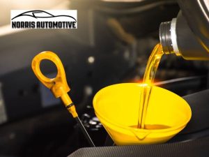 oil changes for your car